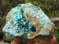 Natural Dioptase In Matrix Specimens  x 7 From Grootfontein, Namibia