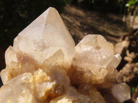 Natural Cascading Smokey Quartz Cluster  x 1 From Luena, Congo