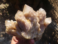 Natural Cascading Smokey Quartz Cluster  x 1 From Luena, Congo