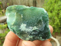 Natural Emerald Mtorolite Plates  x 35 From Zimbabwe