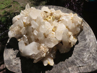 Natural Extra Large Quartz Cluster With Large Crystals  x 1 From Madagascar - TopRock