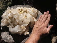 Natural Extra Large Quartz Cluster With Large Crystals  x 1 From Madagascar - TopRock