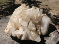 Natural Extra Large Quartz Cluster With Large Crystals  x 1 From Madagascar - TopRock