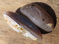 Polished Mixed Selection Of Agate Free Forms  x 12 From Zimbabwe