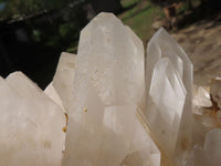 Natural Extra Large Quartz Cluster With Large Crystals  x 1 From Madagascar - TopRock