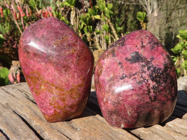 Polished Pink Rhodonite Standing Free Forms x 2 From Zimbabwe