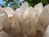 Natural Extra Large Quartz Cluster With Large Crystals  x 1 From Madagascar - TopRock