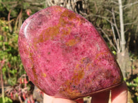 Polished Pink Rhodonite Standing Free Forms x 2 From Zimbabwe