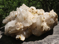 Natural Extra Large Quartz Cluster With Large Crystals  x 1 From Madagascar - TopRock