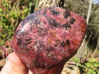 Polished Pink Rhodonite Standing Free Forms x 2 From Zimbabwe