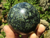 Polished Stromatolite / Kambamba Jasper Spheres  x 3 From Madagascar - TopRock