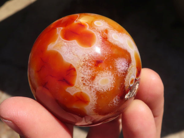 Polished Carnelian Agate Spheres  x 6 From Madagascar