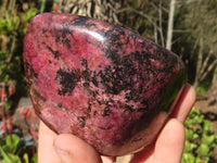 Polished Pink Rhodonite Standing Free Forms x 2 From Zimbabwe