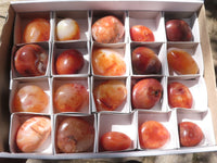 Polished Carnelian Agate Palm Stones  x 20 From Madagascar - TopRock