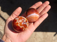 Polished Carnelian Agate Spheres  x 6 From Madagascar