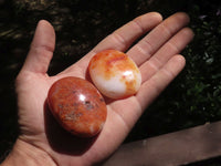 Polished Carnelian Agate Palm Stones  x 20 From Madagascar - TopRock