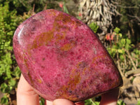 Polished Pink Rhodonite Standing Free Forms x 2 From Zimbabwe