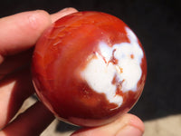 Polished Carnelian Agate Spheres  x 6 From Madagascar