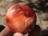 Polished Carnelian Agate Palm Stones  x 20 From Madagascar - TopRock