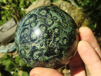 Polished Stromatolite / Kambamba Jasper Spheres  x 3 From Madagascar - TopRock