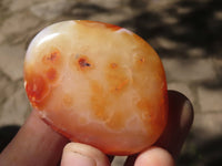 Polished Carnelian Agate Palm Stones  x 20 From Madagascar - TopRock