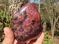 Polished Pink Rhodonite Standing Free Forms x 2 From Zimbabwe