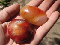 Polished Carnelian Agate Palm Stones  x 20 From Madagascar - TopRock