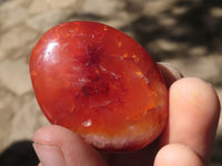 Polished Carnelian Agate Palm Stones  x 20 From Madagascar - TopRock