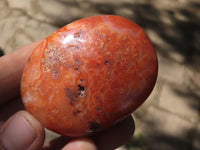 Polished Carnelian Agate Palm Stones  x 20 From Madagascar - TopRock