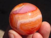 Polished Carnelian Agate Spheres  x 6 From Madagascar