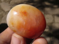 Polished Carnelian Agate Palm Stones  x 20 From Madagascar - TopRock