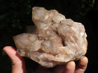 Natural Cascading Smokey White Phantom Quartz Clusters  x 2 From Luena, Congo - TopRock