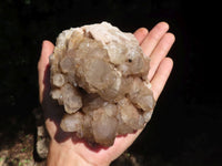 Natural Cascading Smokey White Phantom Quartz Clusters  x 2 From Luena, Congo - TopRock