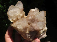 Natural Cascading Smokey White Phantom Quartz Clusters  x 2 From Luena, Congo - TopRock