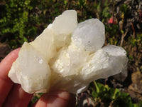 Natural Cathedral Window Quartz Crystals x 12 From Madagascar