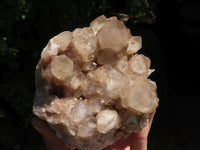 Natural Cascading Smokey White Phantom Quartz Clusters  x 2 From Luena, Congo - TopRock