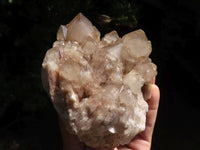 Natural Cascading Smokey White Phantom Quartz Clusters  x 2 From Luena, Congo - TopRock