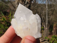 Natural Cathedral Window Quartz Crystals x 12 From Madagascar