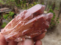 Natural Red Hematoid Quartz Specimens x 12 From Karoi, Zimbabwe