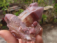 Natural Red Hematoid Quartz Specimens x 12 From Karoi, Zimbabwe