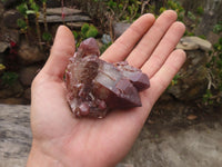 Natural Red Hematoid Quartz Specimens x 12 From Karoi, Zimbabwe