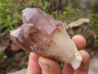 Natural Red Hematoid Quartz Specimens x 12 From Karoi, Zimbabwe