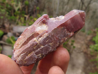 Natural Red Hematoid Quartz Specimens x 12 From Karoi, Zimbabwe