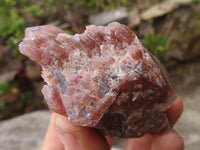 Natural Red Hematoid Quartz Specimens x 12 From Karoi, Zimbabwe