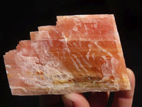 Natural New Sunset Orange Calcite Specimens  x 12 From Spitzkop, Namibia