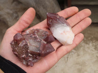 Natural Red Hematoid Quartz Specimens x 12 From Karoi, Zimbabwe