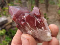 Natural Red Hematoid Quartz Specimens x 12 From Karoi, Zimbabwe