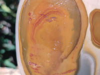 Polished Polychrome Jasper Standing Free Form x 1 From Madagascar - Toprock Gemstones and Minerals 