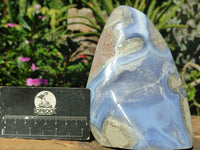 Polished Blue Lace Agate Standing Free Form  x 1 From Nsanje, Malawi - Toprock Gemstones and Minerals 