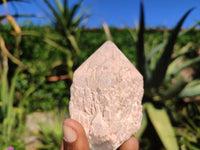 Natural Single Pineapple Quartz Crystals  x 12 From Madagascar - Toprock Gemstones and Minerals 